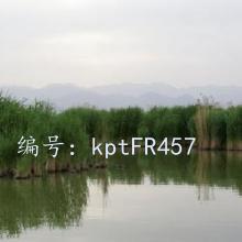 ļ