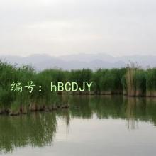 ļ